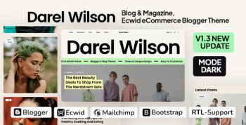 Darel Wilson - Blog and Magazine Blogger Theme